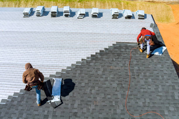 Best Gutter Installation and Roofing  in Broad Creek, NC